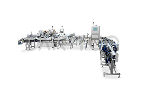 西林瓶?jī)龈少N標(biāo)機(jī)分托入托系統(tǒng)